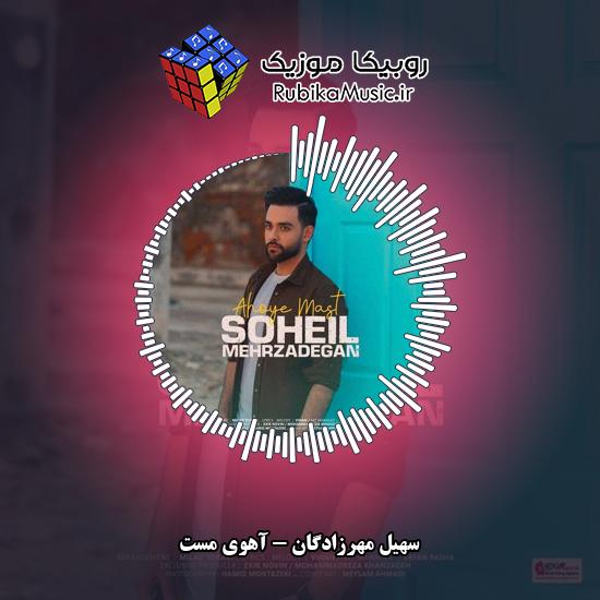 دانلود آهنگ سهیل مهرزادگان دنیامو به اون دوتا آهوی مست میدم 1 دانلود آهنگ دنیامو به اون دوتا آهوی مست میدم سهیل مهرزادگان